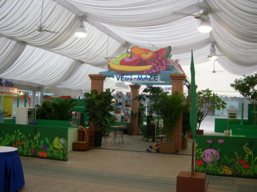 DSCN2804